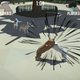 Illustration for article titled Finally, A Game Where You Can Get Huge Points For Sniffing Dog Butts